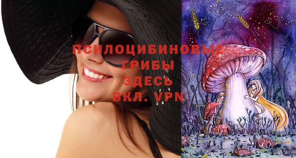 первитин Арсеньев