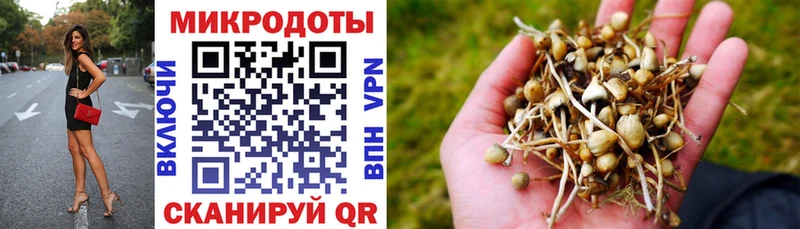 Псилоцибиновые грибы прущие грибы Истра